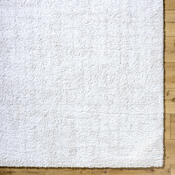 Troya Contemporary Solid Ivory And Gray Rug - The Rug Decor