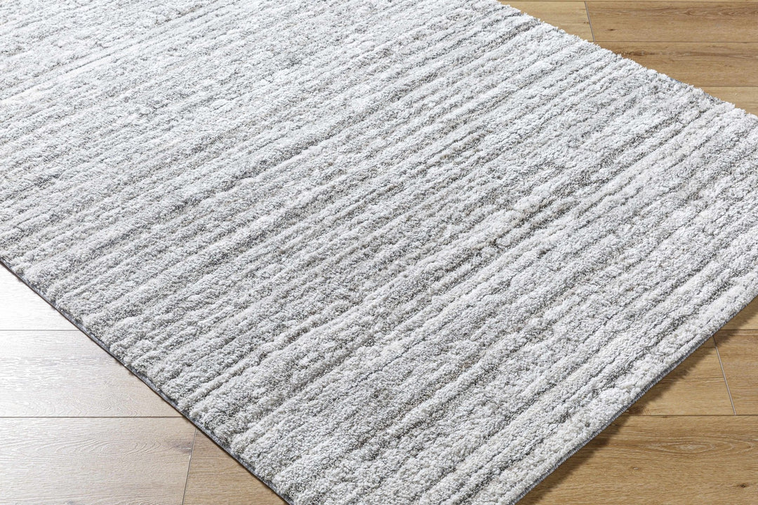 Trude Bohemian Style Silver And Charcoal Shag Rug - The Rug Decor