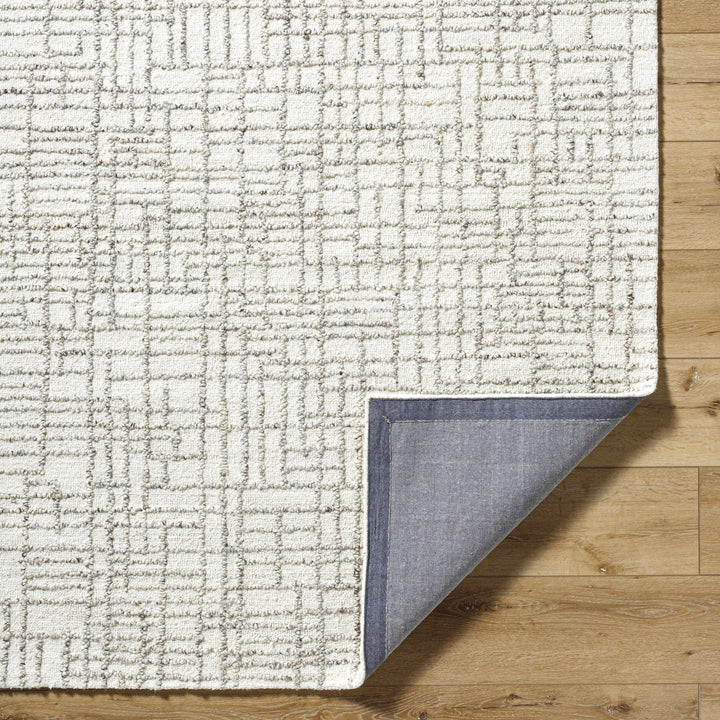 Tibby Modern Abstract Design Ivory Hand Tufted Wool Area Rug