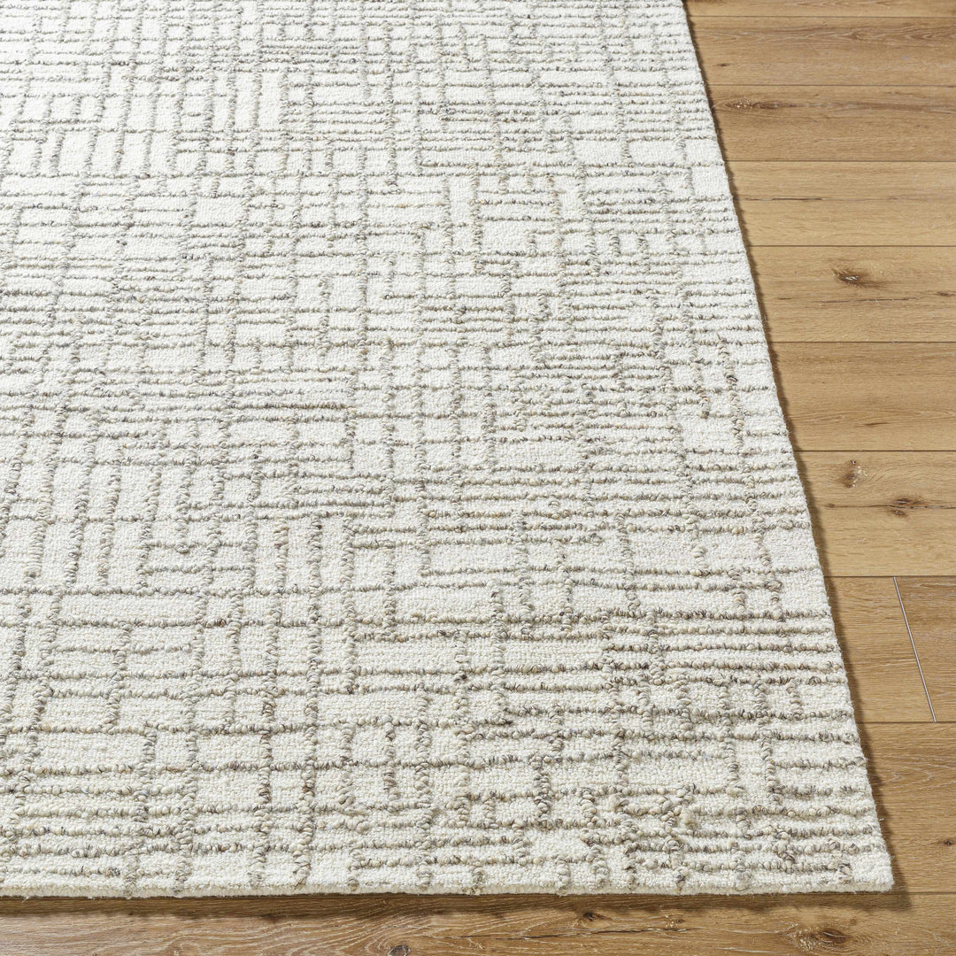 Tibby Modern Abstract Design Ivory Hand Tufted Wool Area Rug