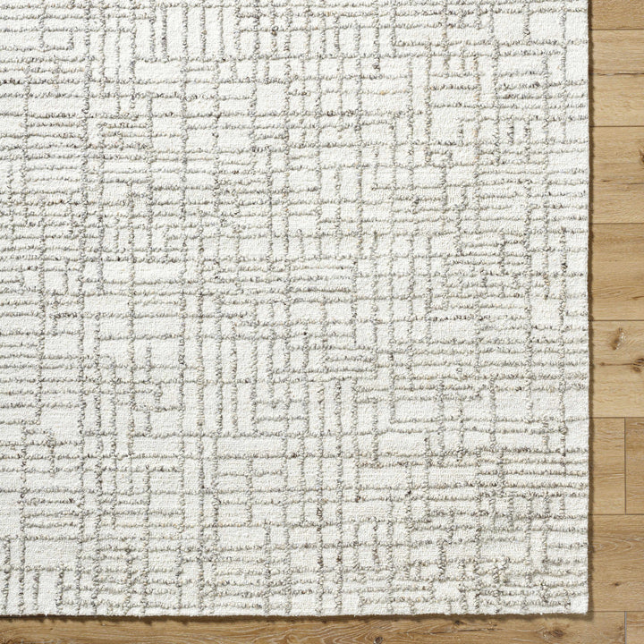 Tibby Modern Abstract Design Ivory Hand Tufted Wool Area Rug