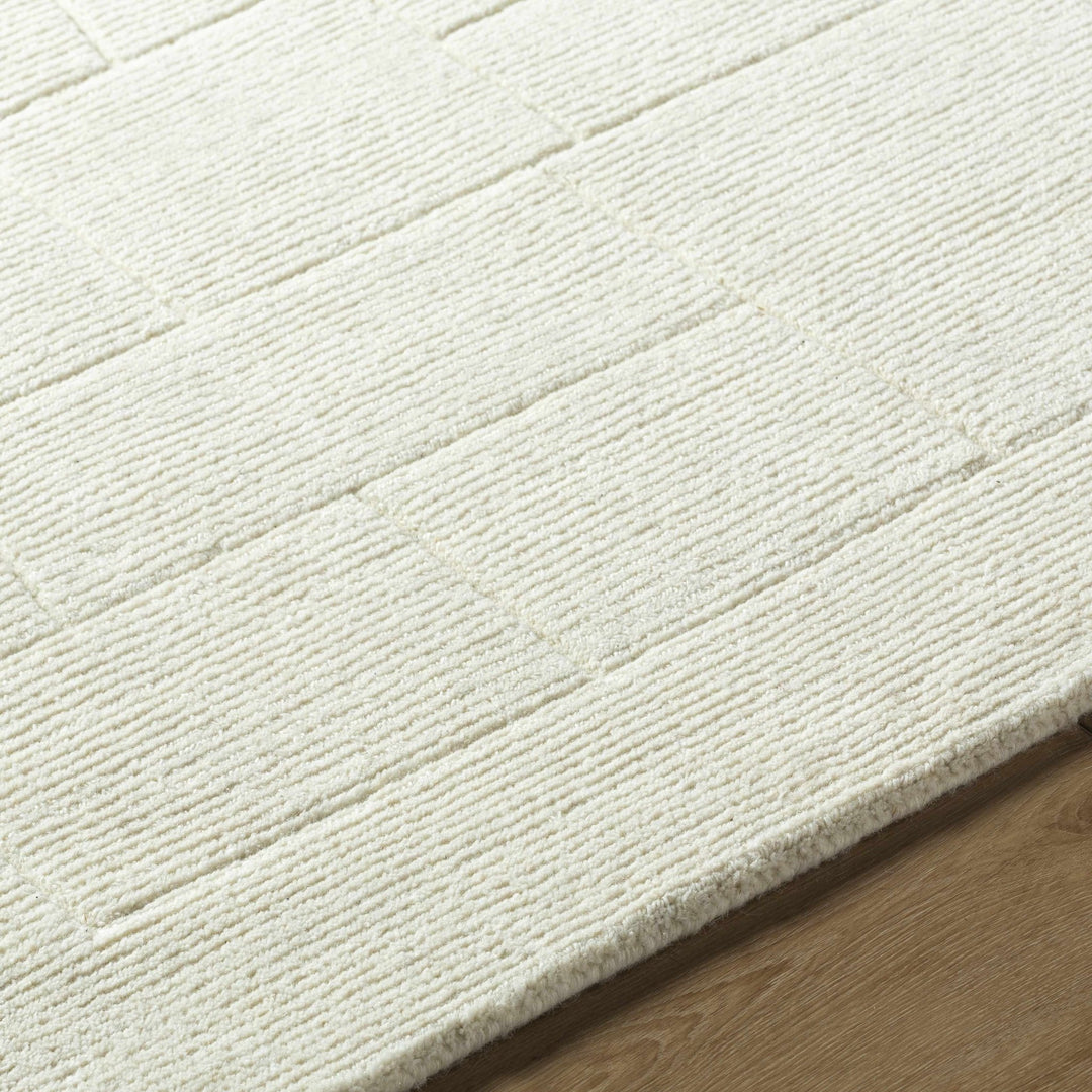 Tupac Ivory Modern Style Hand Loom Wool Area Rug - The Rug Decor