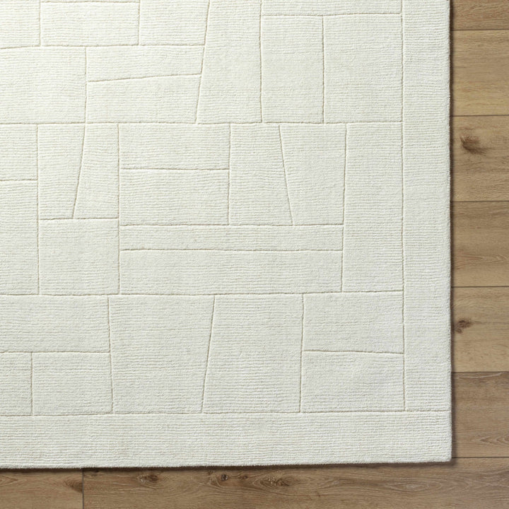 Tupac Ivory Modern Style Hand Loom Wool Area Rug - The Rug Decor
