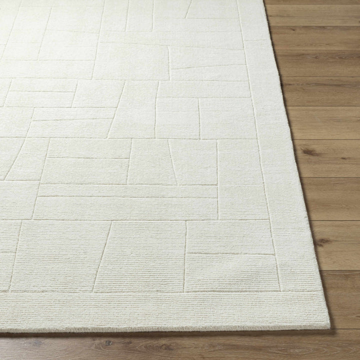 Tupac Ivory Modern Style Hand Loom Wool Area Rug - The Rug Decor