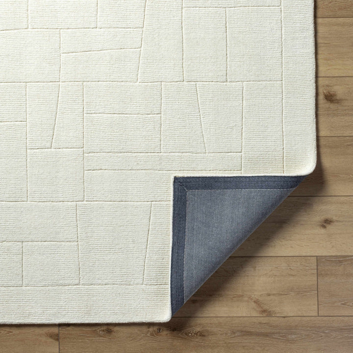 Tupac Ivory Modern Style Hand Loom Wool Area Rug - The Rug Decor