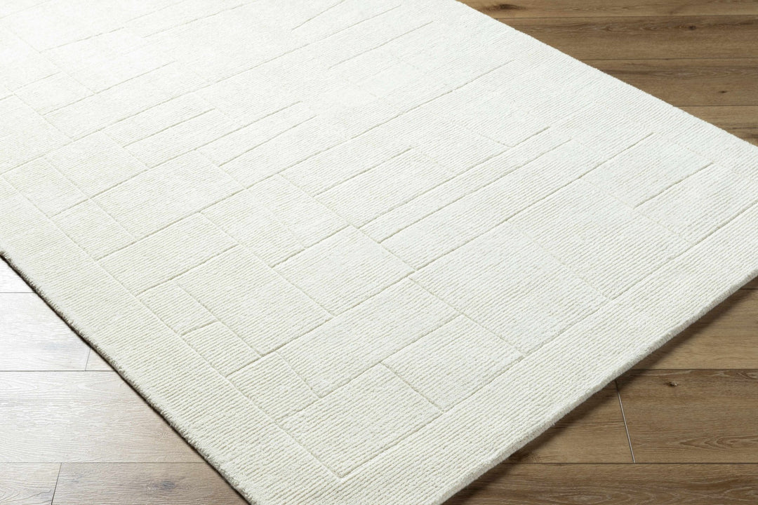Tupac Ivory Modern Style Hand Loom Wool Area Rug - The Rug Decor