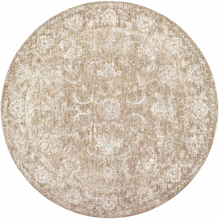 Tylie Traditional Style Brown Area Rug - The Rug Decor