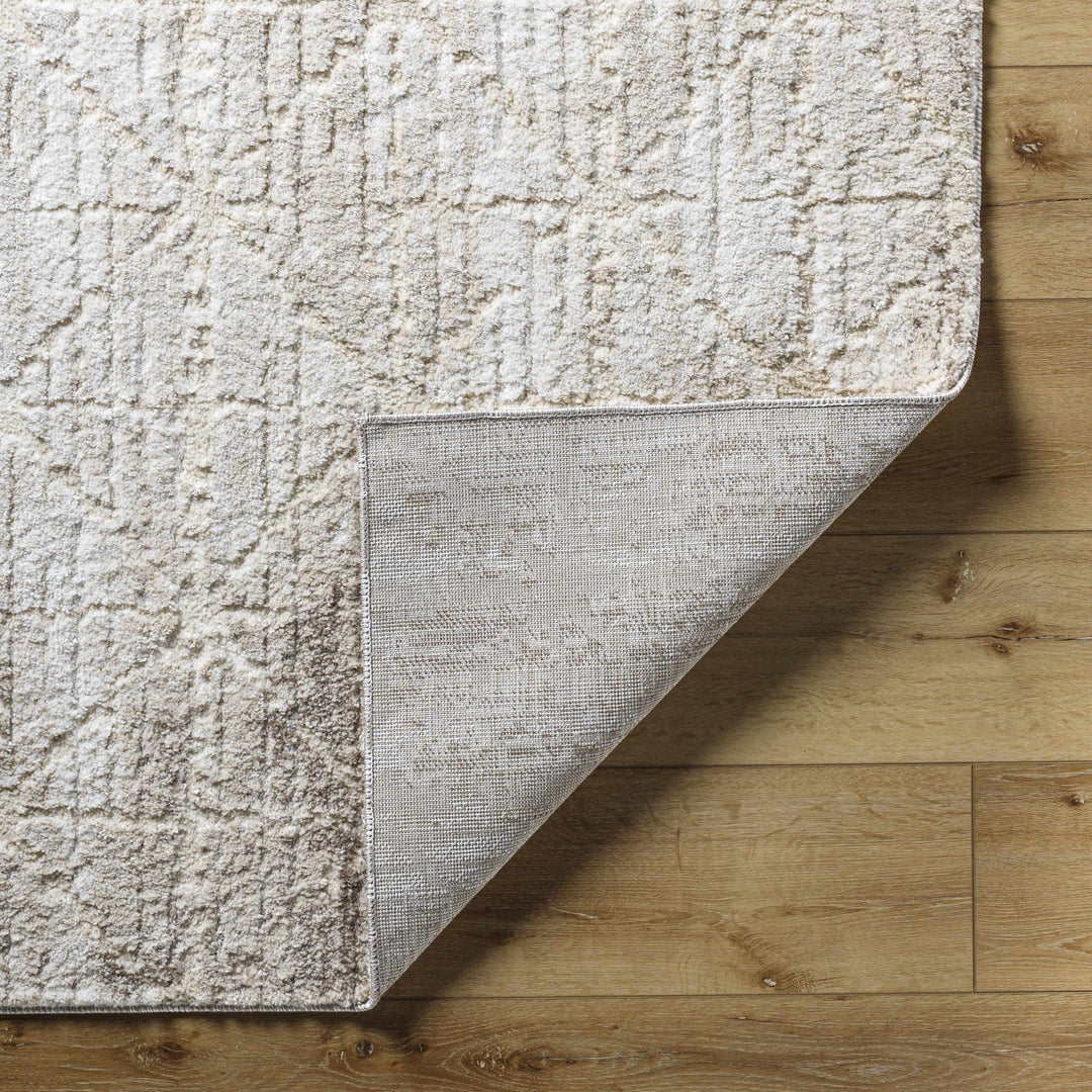Tyree Modern Geometric Design Beige And Brown Area Rug - The Rug Decor