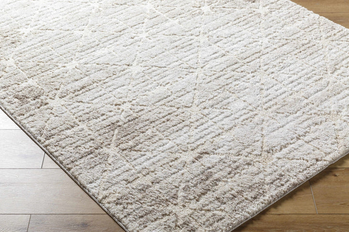 Tyree Modern Geometric Design Beige And Brown Area Rug - The Rug Decor