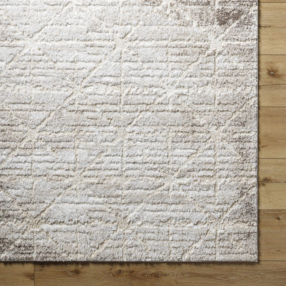Tyree Modern Geometric Design Beige And Brown Area Rug - The Rug Decor