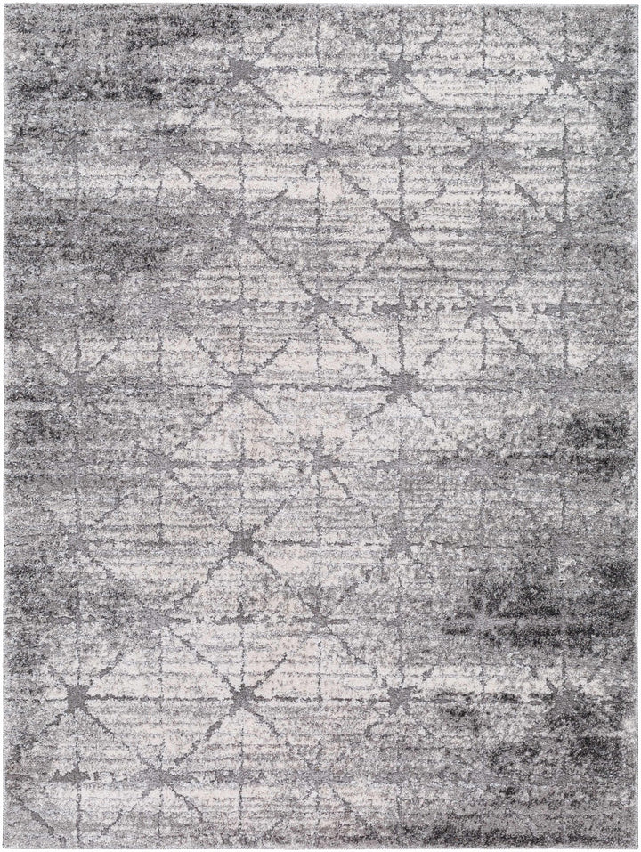 Tyree Modern Trellis Pattern Gray Area Rug - The Rug Decor