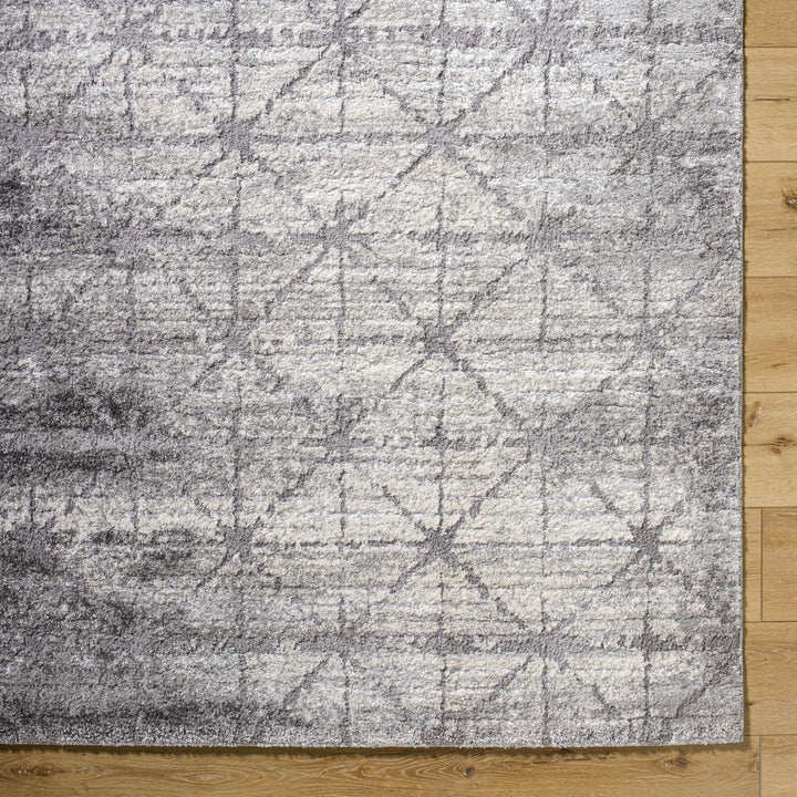 Tyree Modern Trellis Pattern Gray Area Rug - The Rug Decor