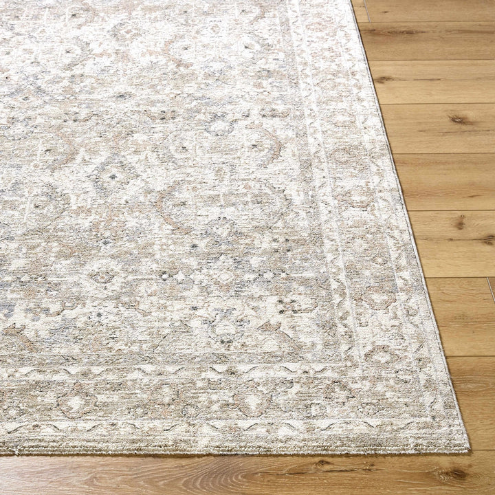 Tyren Traditional Beige And Tan Area Rug - The Rug Decor