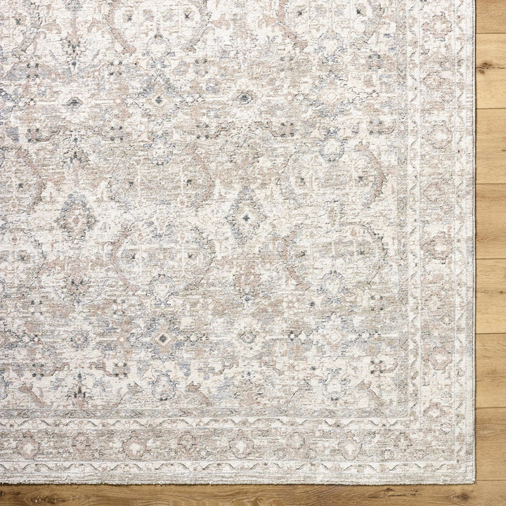 Tyren Traditional Beige And Tan Area Rug - The Rug Decor