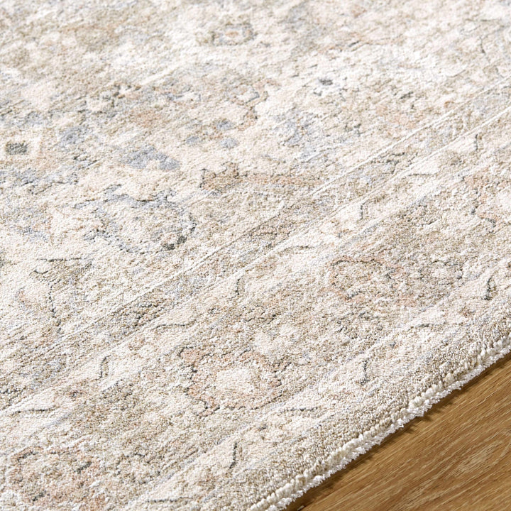 Tyren Traditional Beige And Tan Area Rug - The Rug Decor