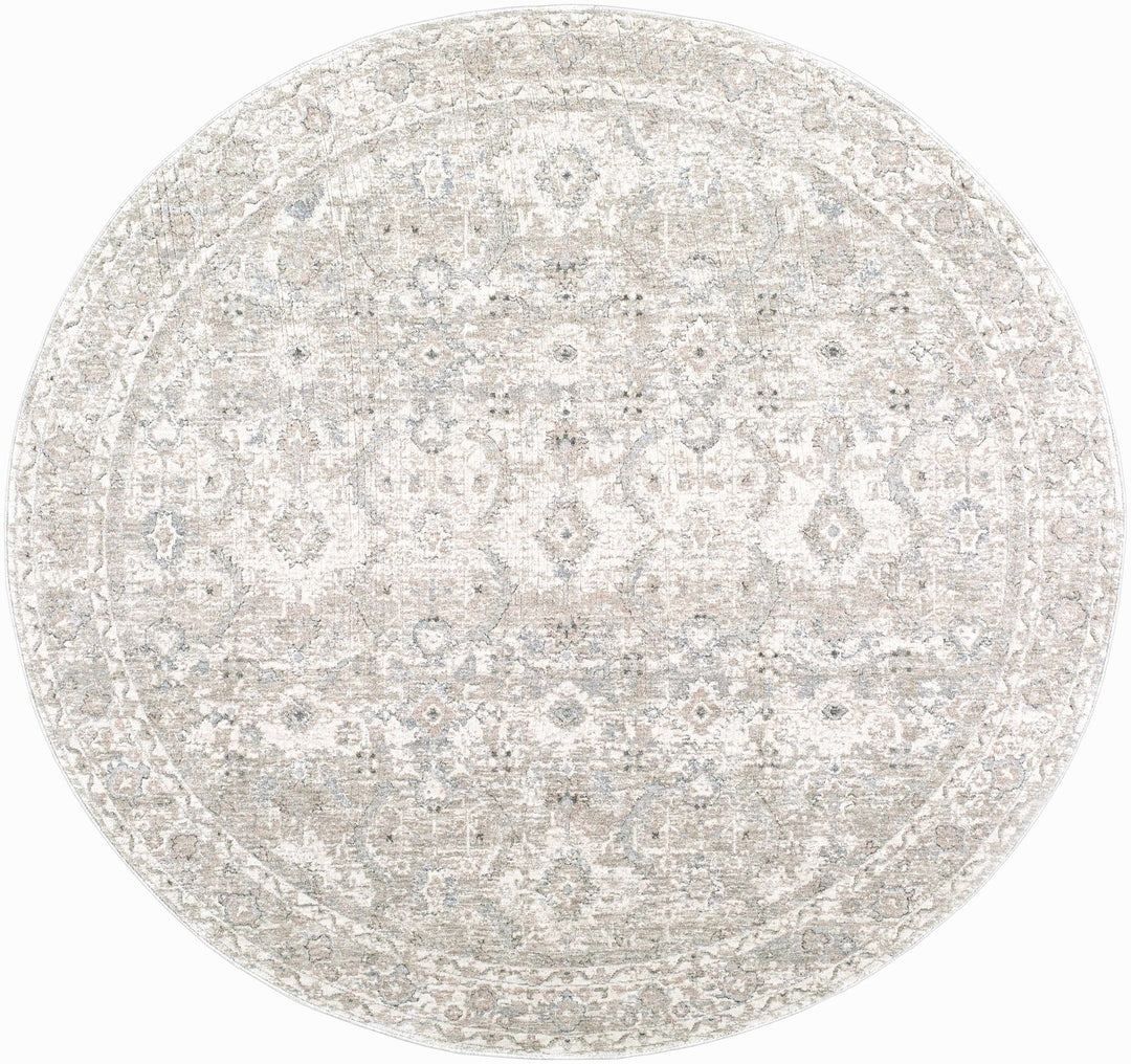 Tyren Traditional Beige And Tan Area Rug - The Rug Decor