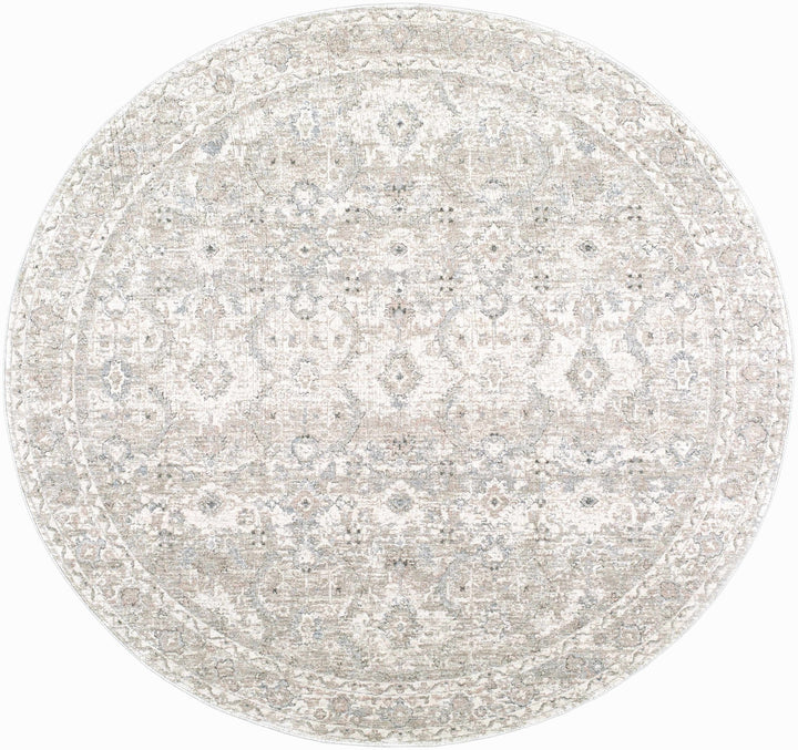 Tyren Traditional Beige And Tan Area Rug - The Rug Decor
