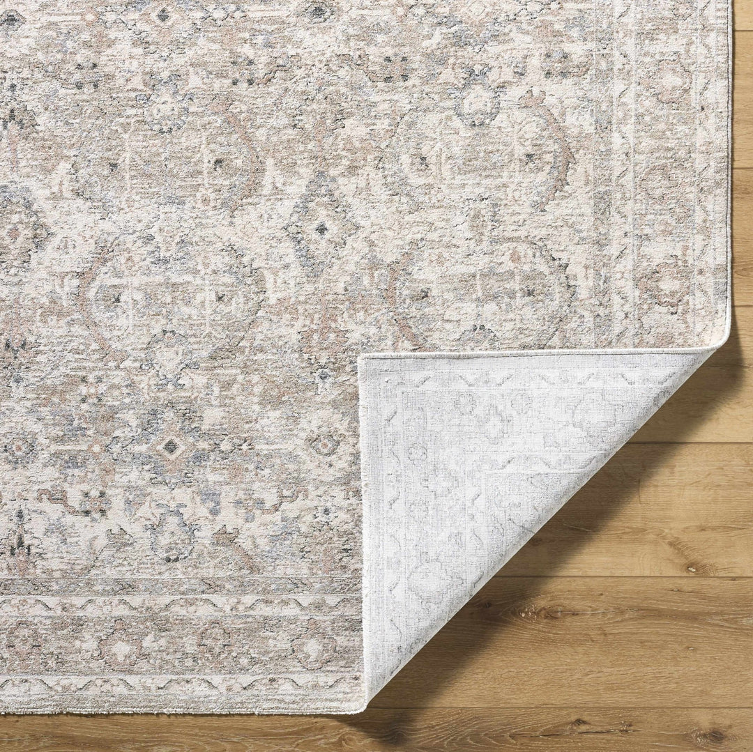 Tyren Traditional Beige And Tan Area Rug - The Rug Decor