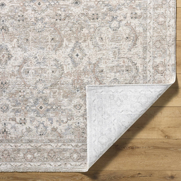 Tyren Traditional Beige And Tan Area Rug - The Rug Decor