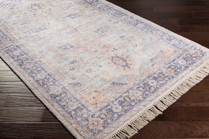 Tyro Ivory And Blue Traditional Style Hand Woven Area Rug