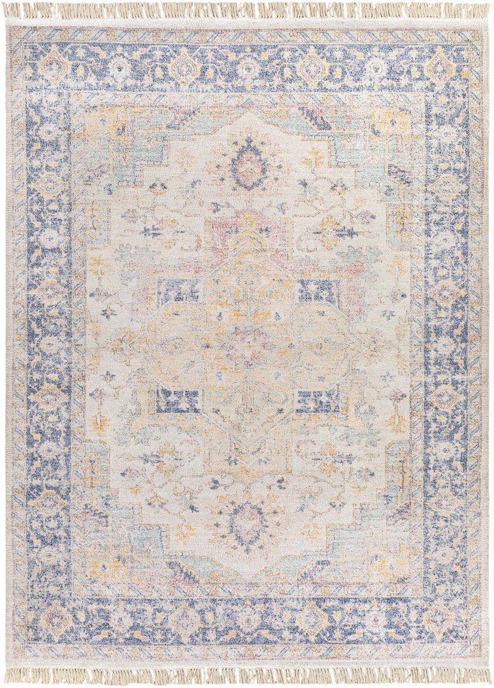 Tyro Ivory And Blue Traditional Style Hand Woven Area Rug