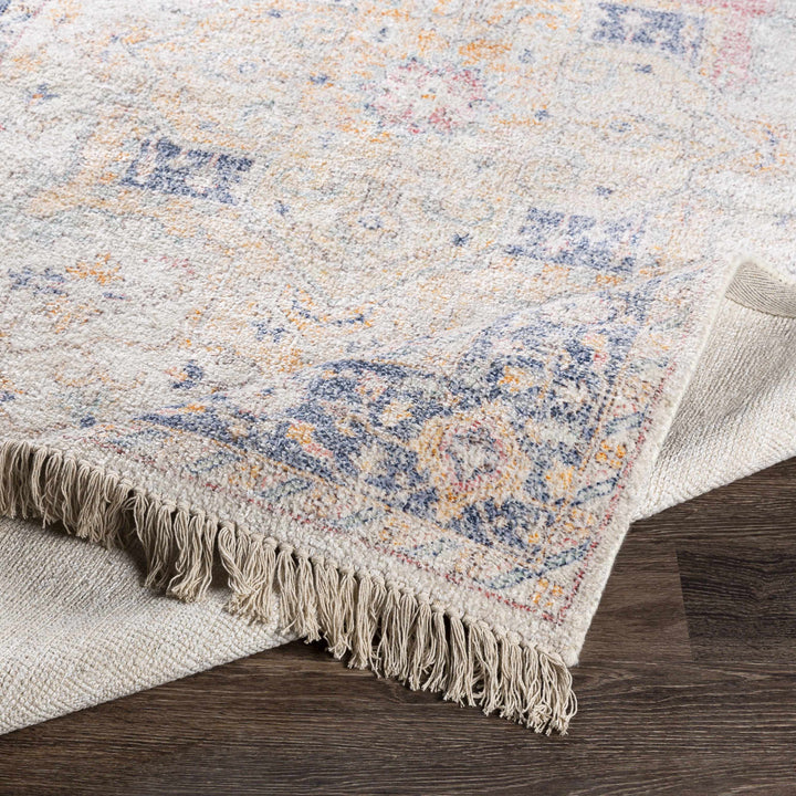 Tyro Ivory And Blue Traditional Style Hand Woven Area Rug