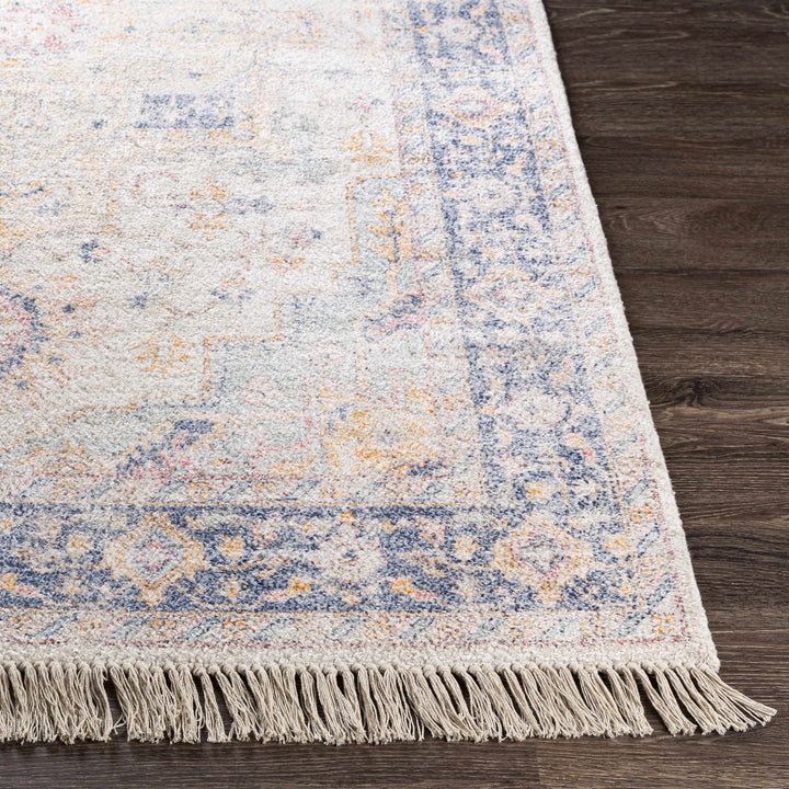 Tyro Ivory And Blue Traditional Style Hand Woven Area Rug