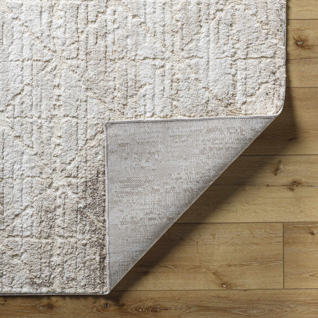Tyree Modern Geometric Design Beige And Brown Area Rug