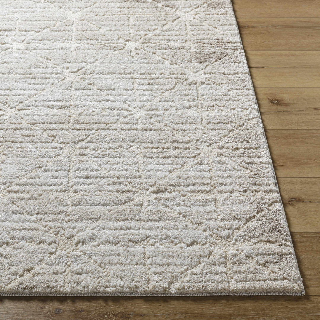 Tyree Modern Geometric Design Beige And Brown Area Rug