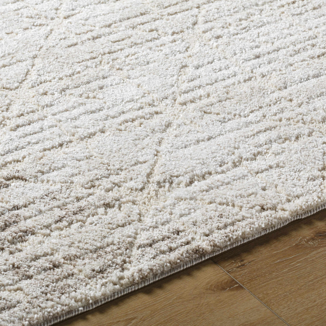 Tyree Modern Geometric Design Beige And Brown Area Rug