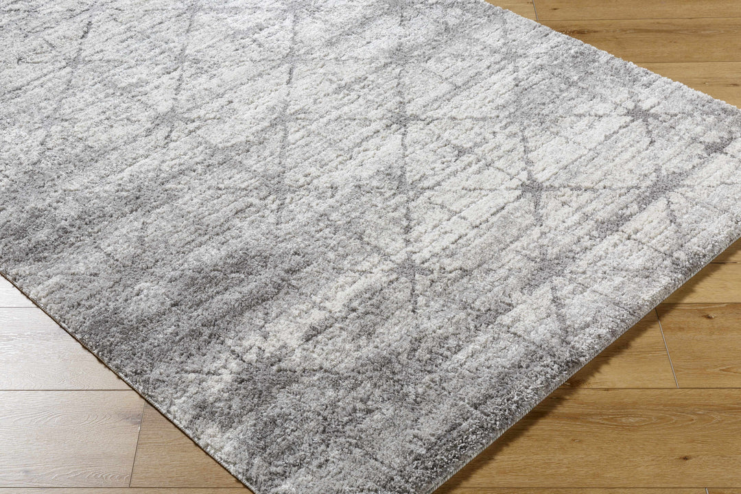 Tyree Modern Trellis Pattern Gray Area Rug