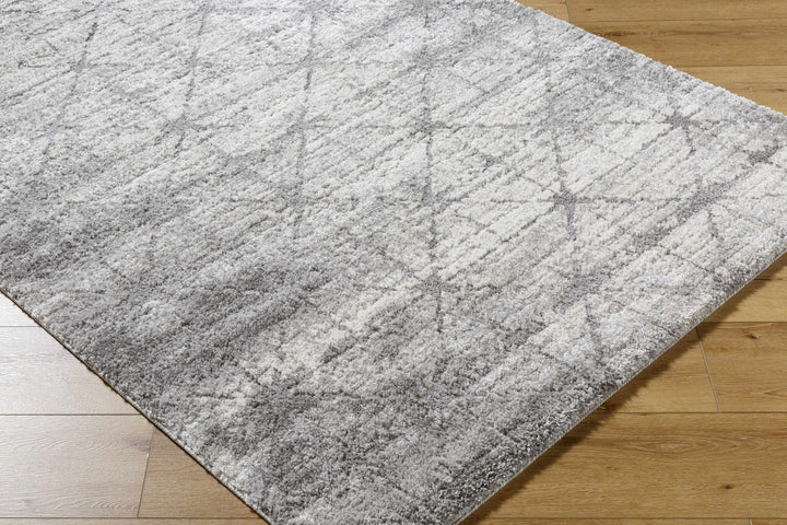 Tyree Modern Trellis Pattern Gray Area Rug