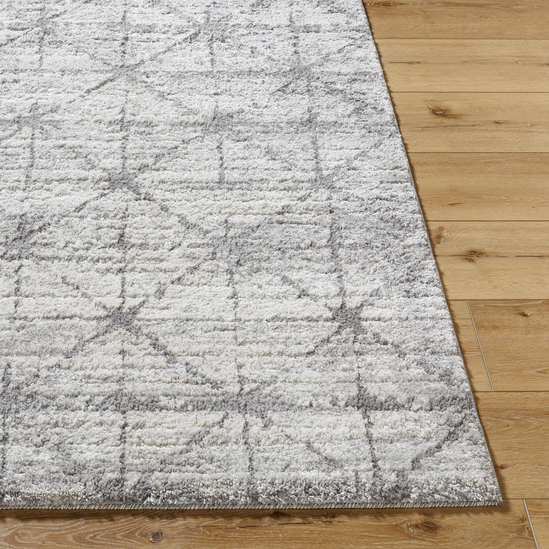 Tyree Modern Trellis Pattern Gray Area Rug