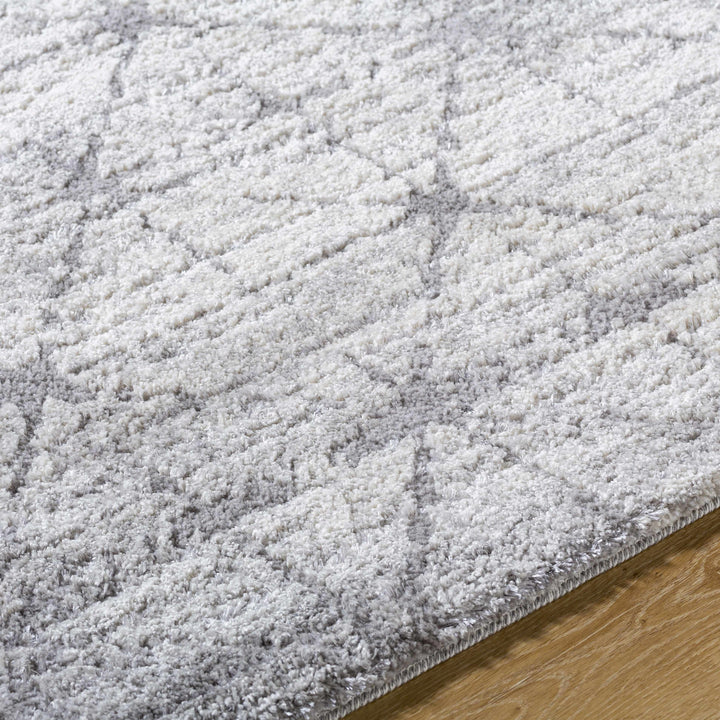 Tyree Modern Trellis Pattern Gray Area Rug