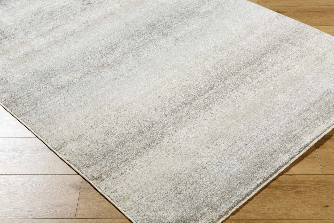 Uzima Modern Abstract Gray Machine Woven Rug - The Rug Decor