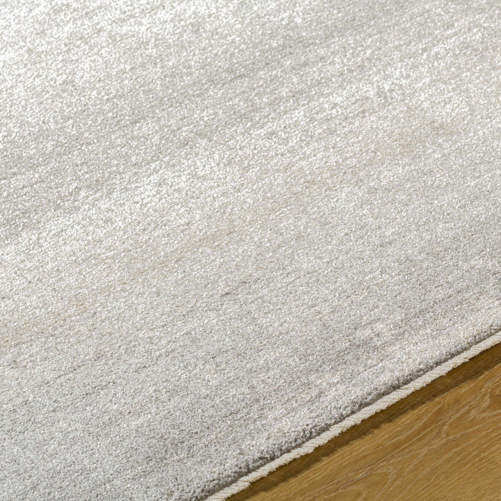 Uzima Modern Abstract Gray Machine Woven Rug - The Rug Decor