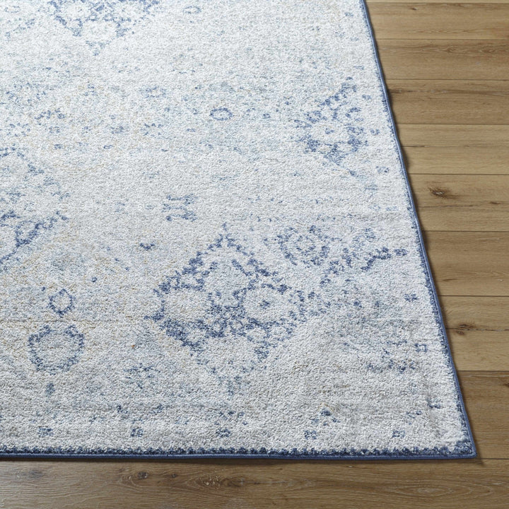 Valin Blue Traditional Washed Out Style Rug - The Rug Decor