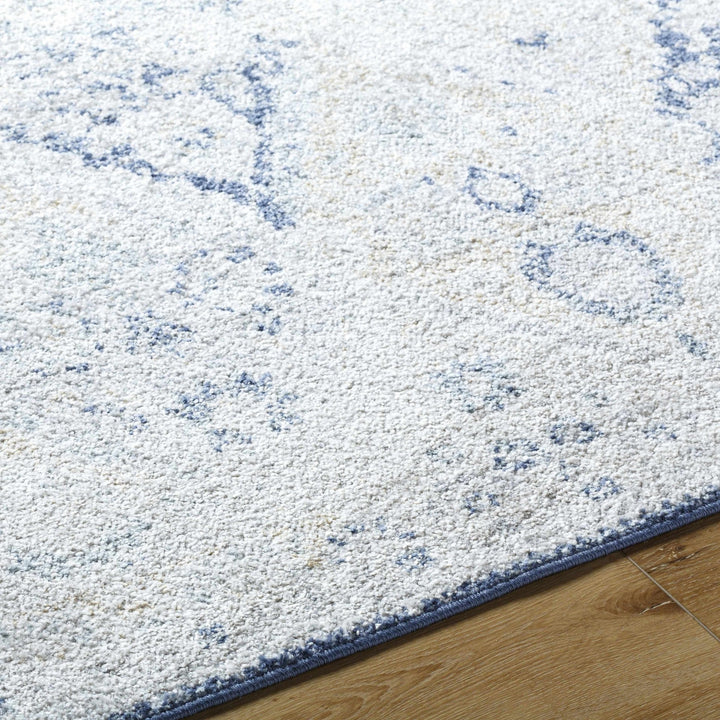 Valin Blue Traditional Washed Out Style Rug - The Rug Decor
