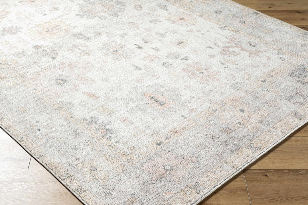 Valko Traditional Style Beige And Gray Area Rug - The Rug Decor