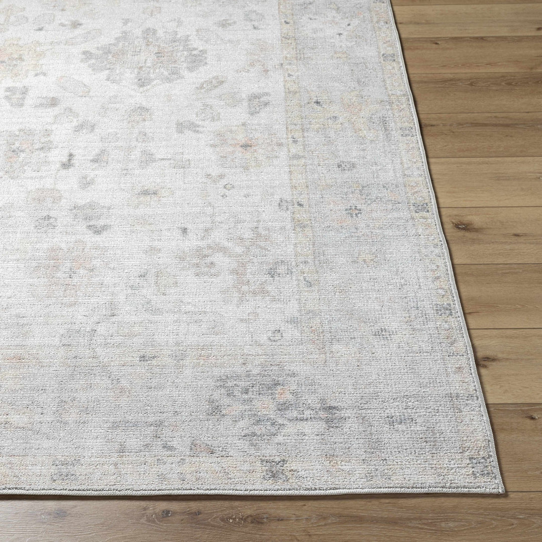 Valko Traditional Style Beige And Gray Area Rug - The Rug Decor
