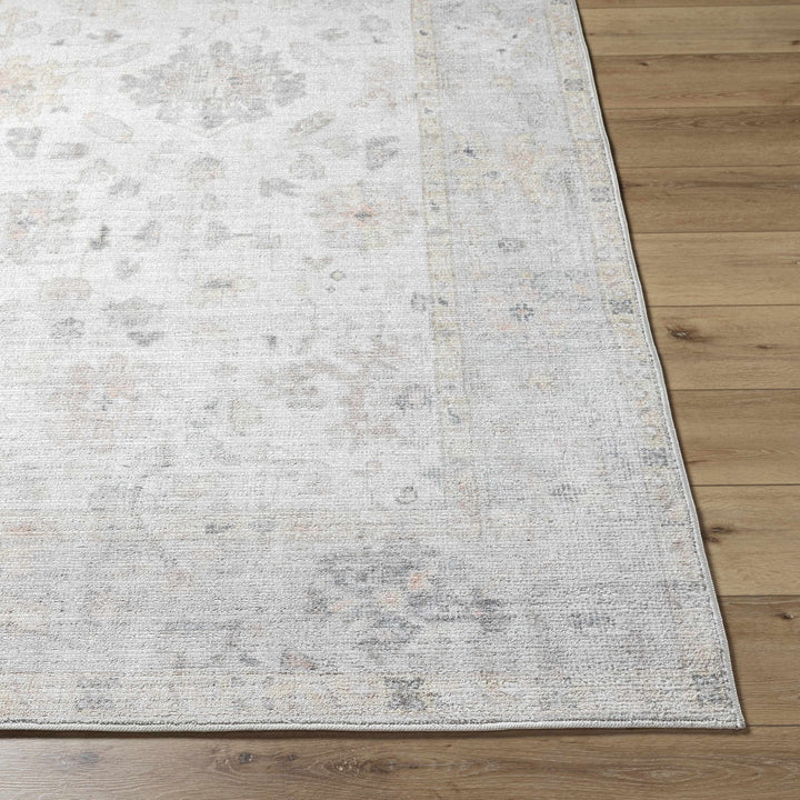 Valko Traditional Style Beige And Gray Area Rug - The Rug Decor