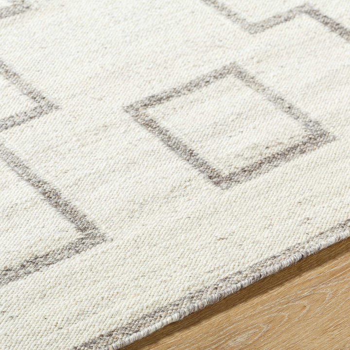 Vanig Transitional Ivory And Gray Area Rug - The Rug Decor