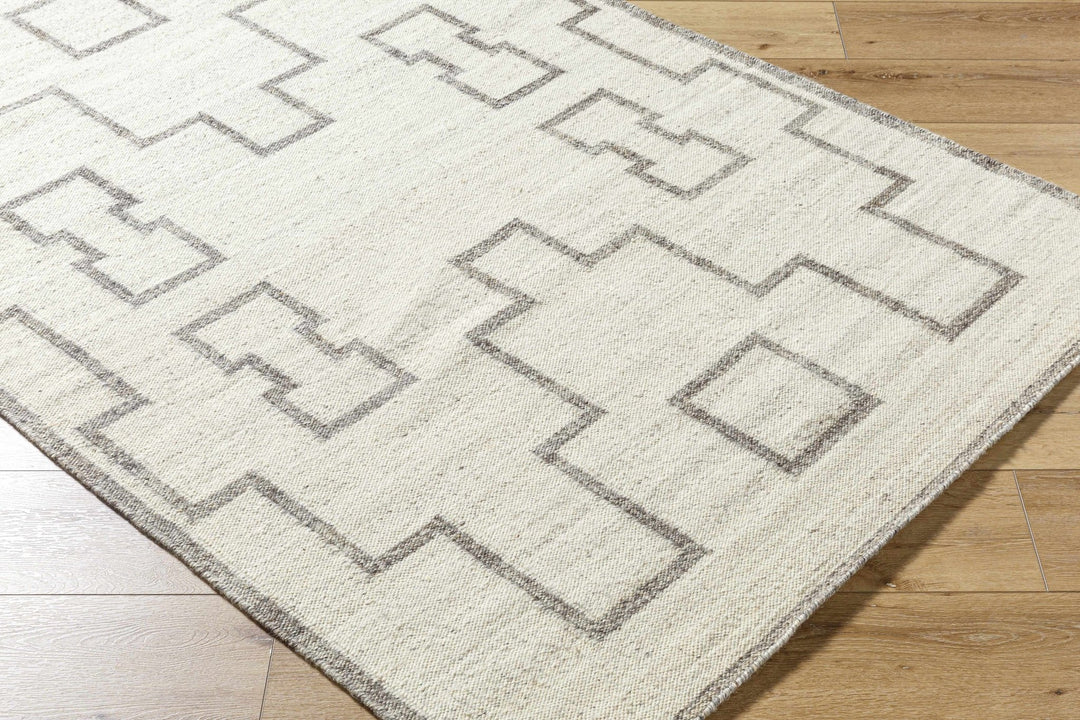 Vanig Transitional Ivory And Gray Area Rug - The Rug Decor