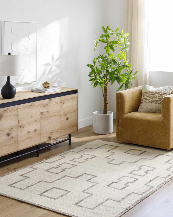 Vanig Transitional Ivory And Gray Area Rug - The Rug Decor