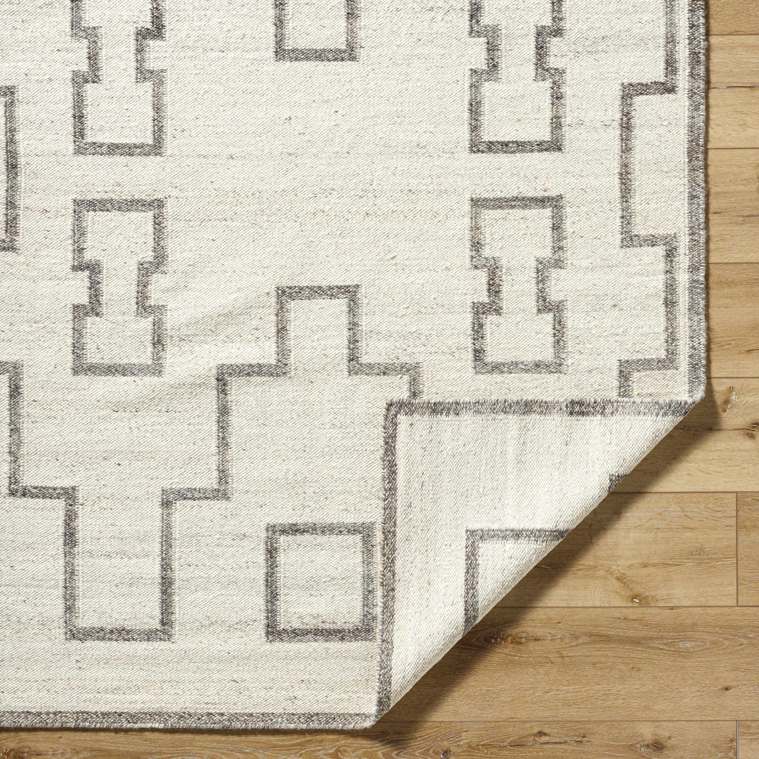 Vanig Transitional Ivory And Gray Area Rug - The Rug Decor