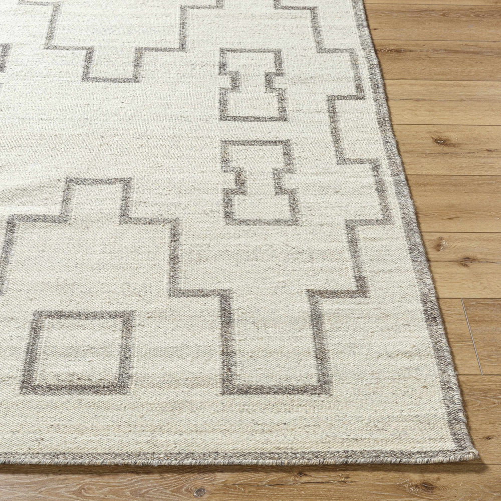 Vanig Transitional Ivory And Gray Area Rug - The Rug Decor