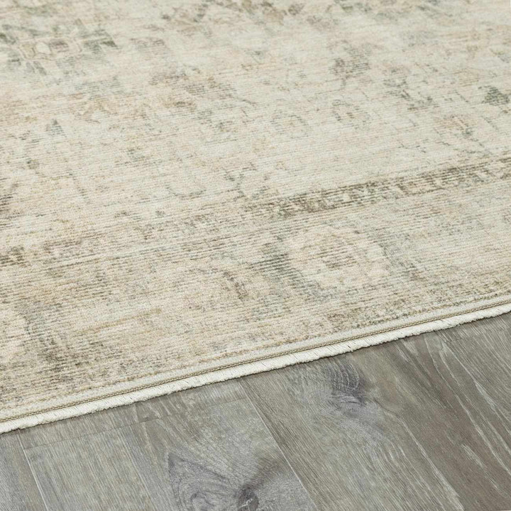 Vanja Traditional Style Beige And Brown Area Rug - The Rug Decor