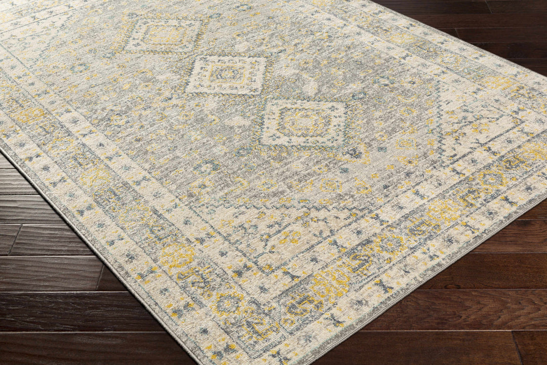 Varnville Traditional Style Gray And Beige Area Rug