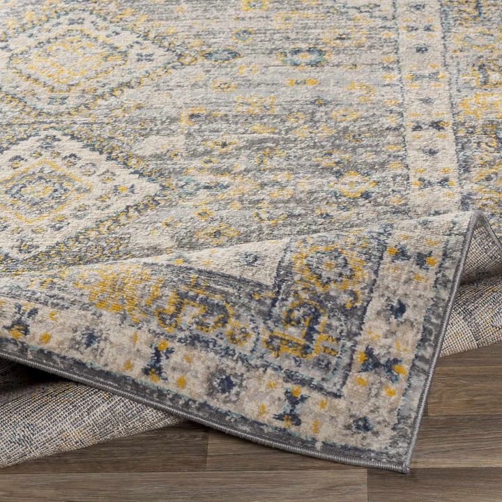 Varnville Traditional Style Gray And Beige Area Rug