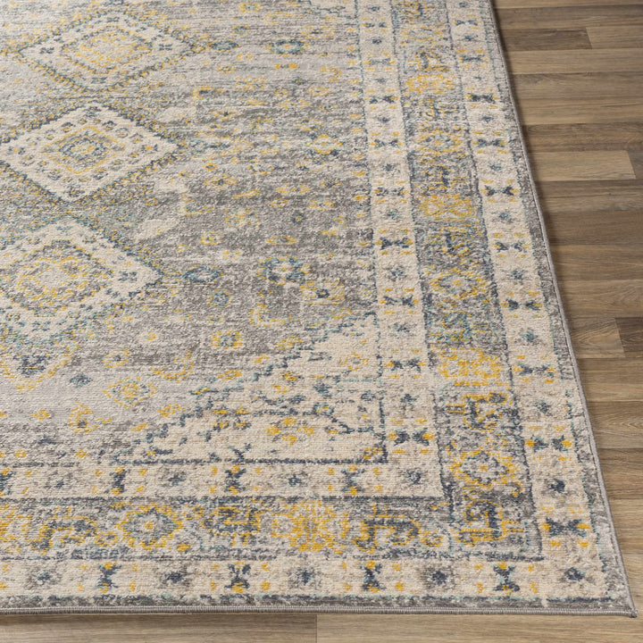 Varnville Traditional Style Gray And Beige Area Rug